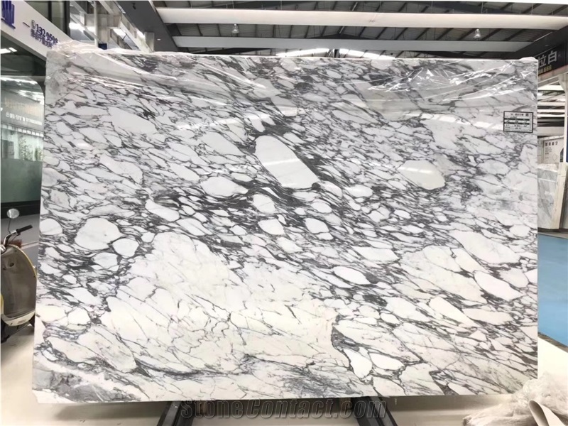 white marble floor dolomite slab arabescato wall tile